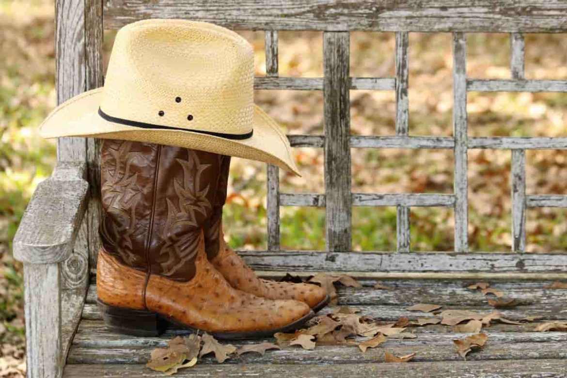 Best Price Cowboy Boots You Can Buy in Market