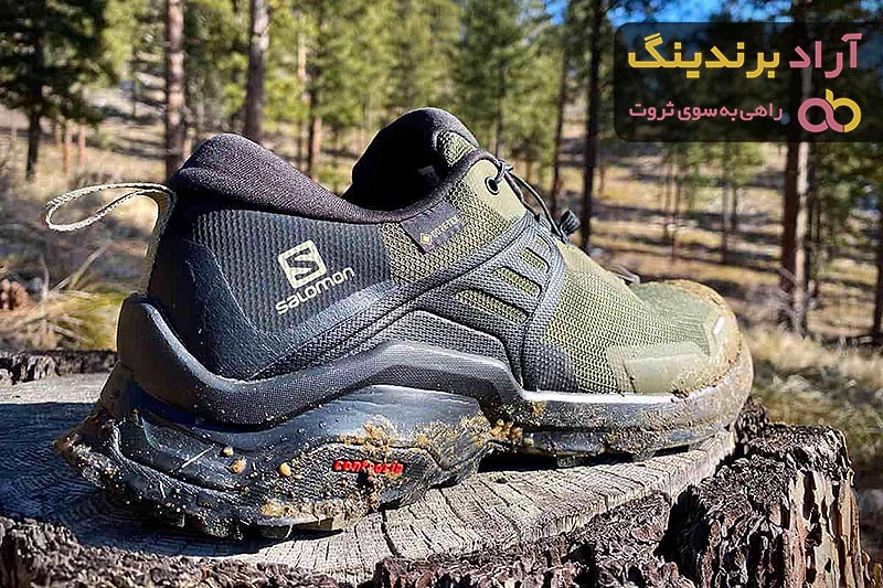 Salomon Hiking Shoes Price