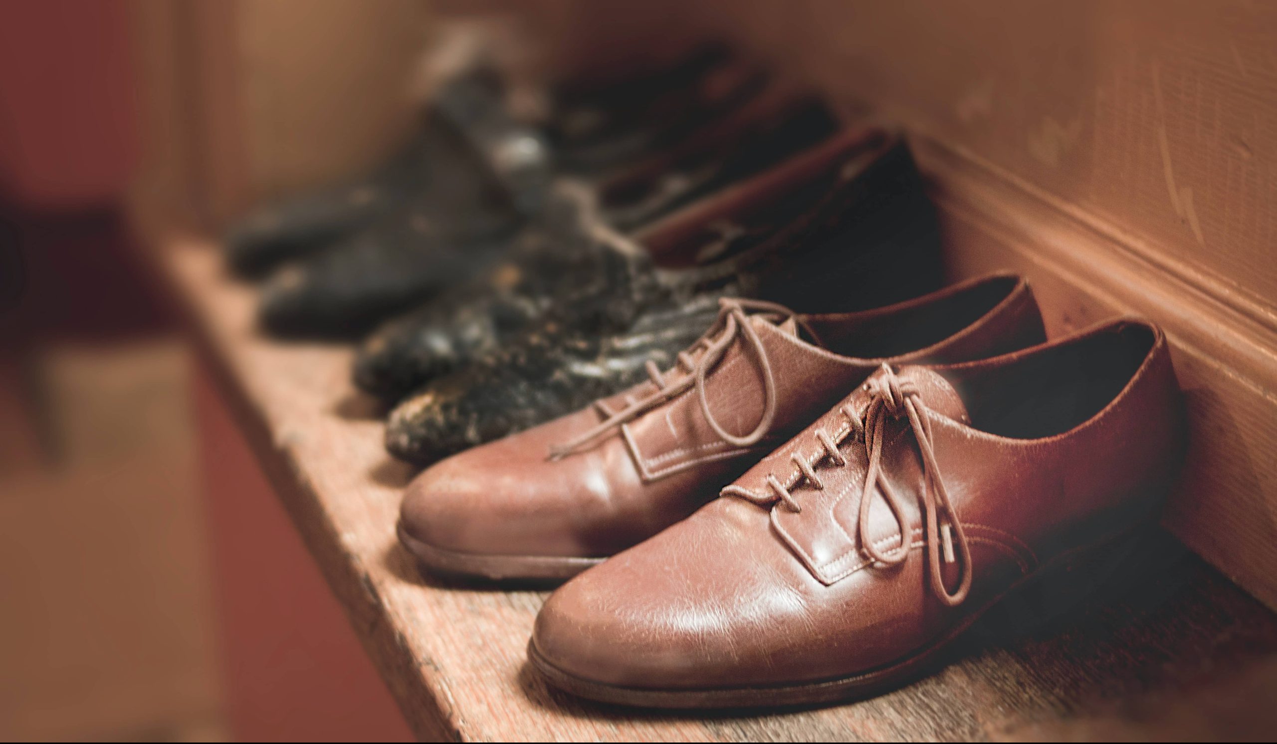  best brown leather shoes for women price 