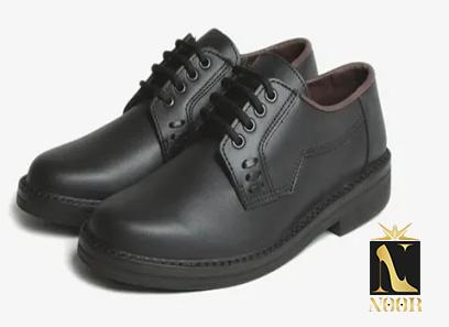 Price and purchase School Shoes with complete specifications